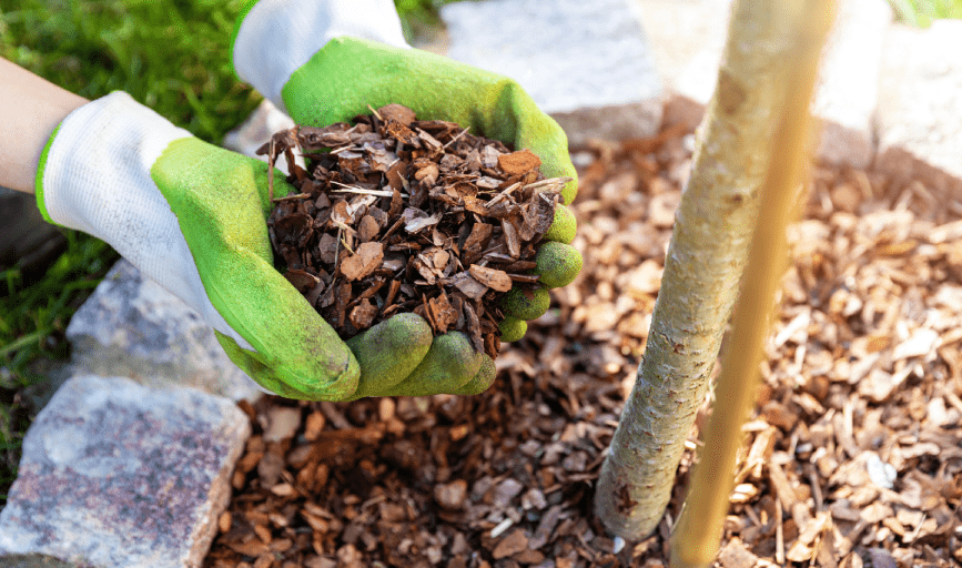 MULCHING